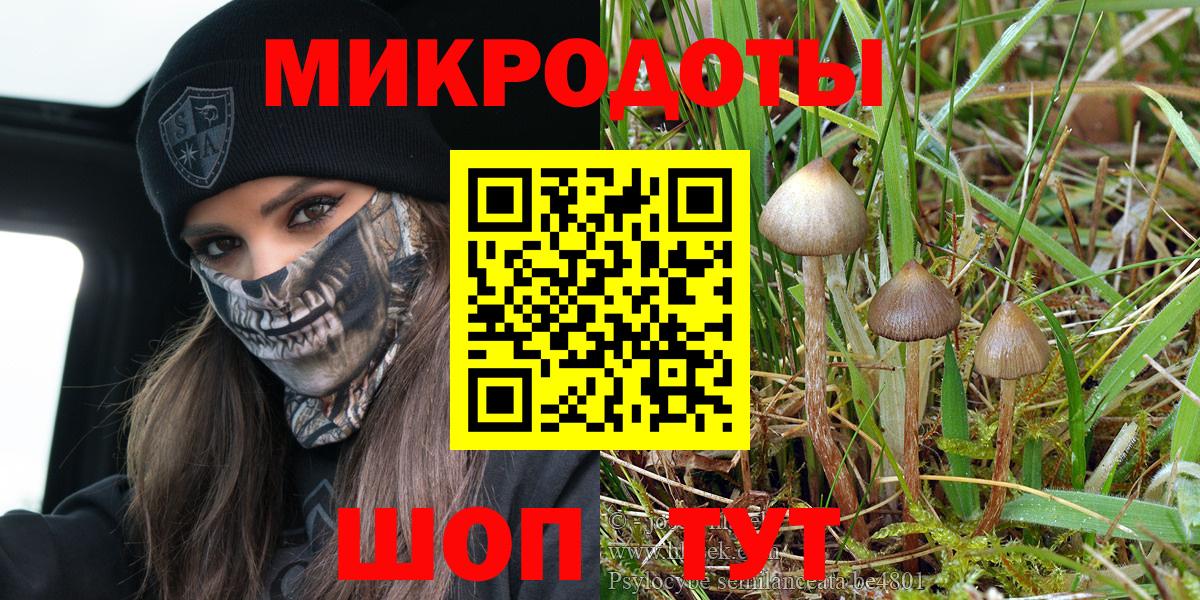 Реж  купить наркотик  Галлюциногенные грибы мухоморы  Вход с VPN  Галлюциногенные грибы прущие грибы 
