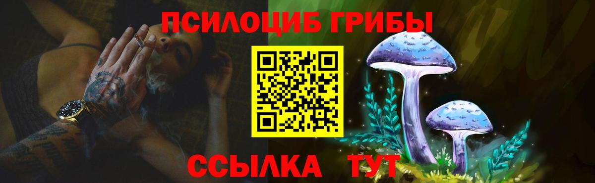 Галлюциногенные грибы Magic Shrooms Реж